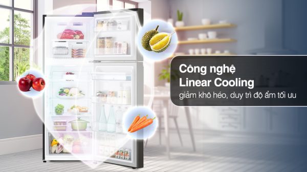 Tủ lạnh LG 266 lít GV-B262BL - LG - Tủ lạnh