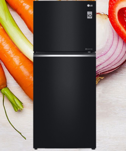 Tủ Lạnh LG Inverter 506 Lít GN-L702GB