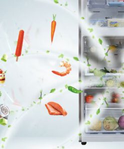 Với bộ lọc được tích hợp trên cánh quạt, tủ lạnh Samsung RT22FARBDSA sẽ thanh trùng và lọc sạch mùi hôi