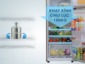 Khay kính của tủ lạnh Samsung RT22FARBDSA có thể chịu được lực lớn