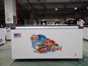 Tủ đông kính cong Denver AS 980K - Chuyển chế độ đông - mát | Shopee Việt  Nam