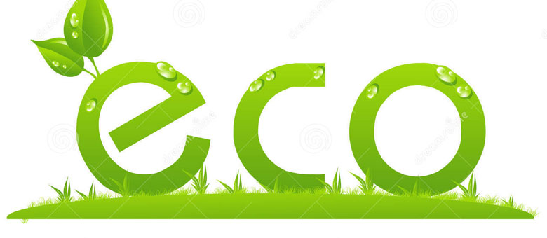 1.1. Khái niệm về Eco