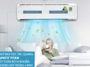 Phin lọc khử mùi xúc tác quang Apatit Titan - Máy lạnh Daikin Inverter 2 HP FTKC50UVMV