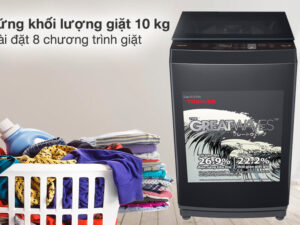 Máy giặt Toshiba 10 kg AW-M1100PV(MK) - Khối lượng giặt và chương trình giặt