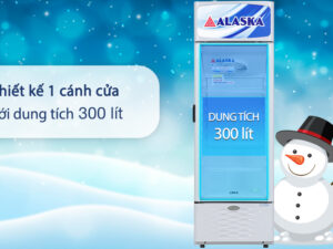 Tủ mát Alaska Inverter 300 lít LC 533HI - Tổng quan thiết kế