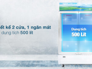 Tủ mát Sanaky 500 lít VH-6009HP - Tổng quan thiết kế