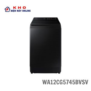 WA12CG5745BVSV