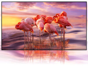 Smart Tivi QLED 4K 55 inch Samsung QA55Q60B - Công nghệ hình ảnh