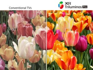 6. Sony XR-98X90L | Công nghệ Triluminos Pro mang đến dải màu sắc hình ảnh sinh động