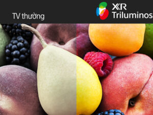 Công nghệ Triluminos Pro tái sạo hơn 1 tỷ sắc thái màu sắc sống động trên Sony XR-65A80L 