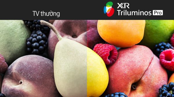 Công nghệ Triluminos Pro tái sạo hơn 1 tỷ sắc thái màu sắc sống động trên Sony XR-65A80L 