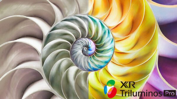 Triluminos Pro hiển thị dải màu sắc sống động trên Sony XR-77A80L 
