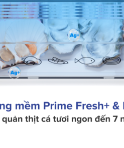 Tủ lạnh Panasonic Inverter 255 lít NR-BV281BGMV - Ngăn đông mềm diệt khuẩn Prime Fresh  & Blue Ag