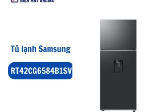 RT42CG6584B1SV