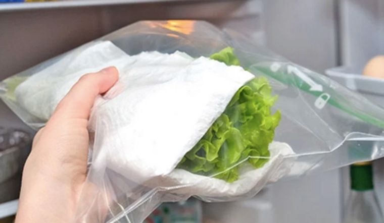 Cách bảo quản rau xà lách trong tủ lạnh cả tuần không bị dập