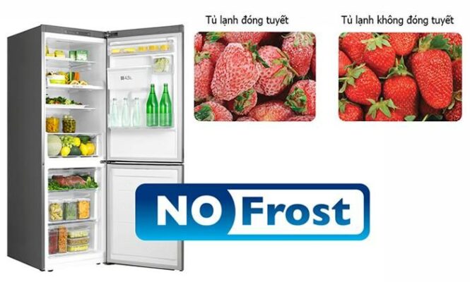 Hạn chế việc giã đông thực phẩm nhờ công nghệ No Frost trên tủ lạnh Bosch kag90ai20