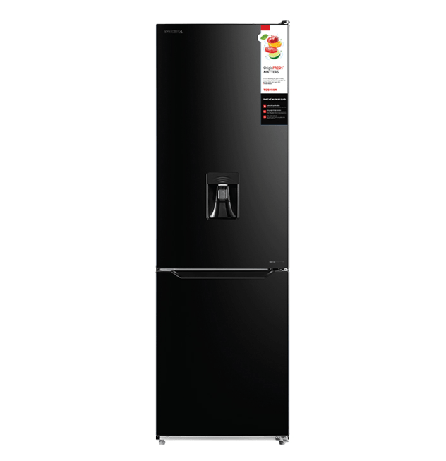 Tủ lạnh Toshiba GR-RB350WE-PMV(30)-BS 270 Lít