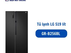 GR-B256BL 