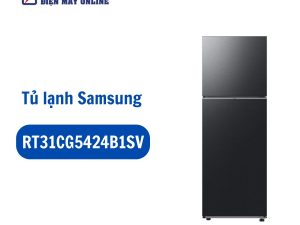 RT31CG5424B1SV