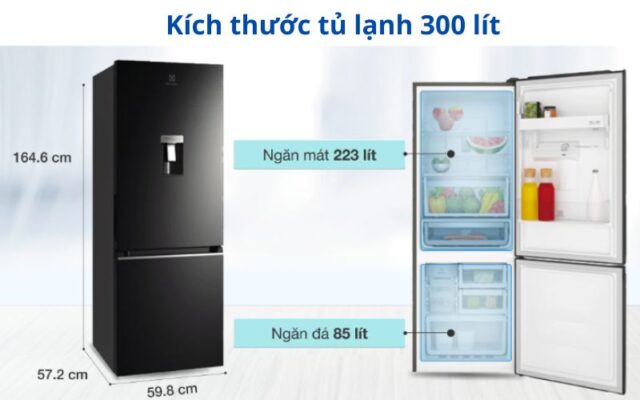 kich-thuoc-tu-lanh-300-lit