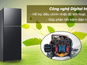 Tủ lạnh Samsung Inverter 305 lít RT31CG5424B1SV - Công nghệ Digital Inverter vận hành êm ái, duy trì nhiệt độ ổn định và tiết kiệm điện hiệu quả