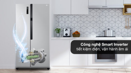 Tủ lạnh LG Inverter 519 lít GR-B256JDS - Tiết kiệm điện