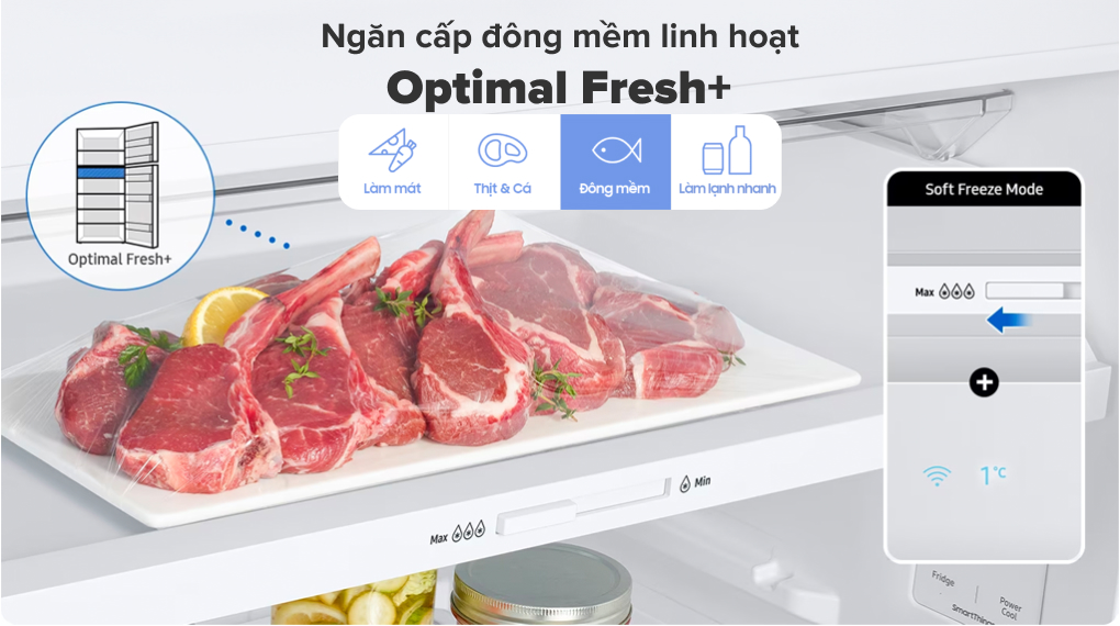 Tủ lạnh Samsung Inverter 345 lít RT35CG5544B1SV - Ngăn đông mềm linh hoạt Optimal Fresh 