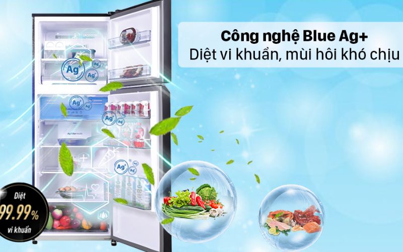 Tủ lạnh Panasonic giá 10 triệu có công nghệ Ag Clean loại bỏ nhanh chóng vi khuẩn