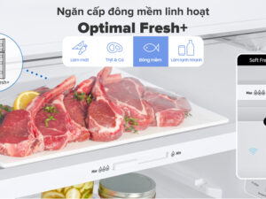 Tủ lạnh Samsung Inverter 305 lít RT31CB56248ASV - Ngăn cấp đông mềm linh hoạt Optimal Fresh 