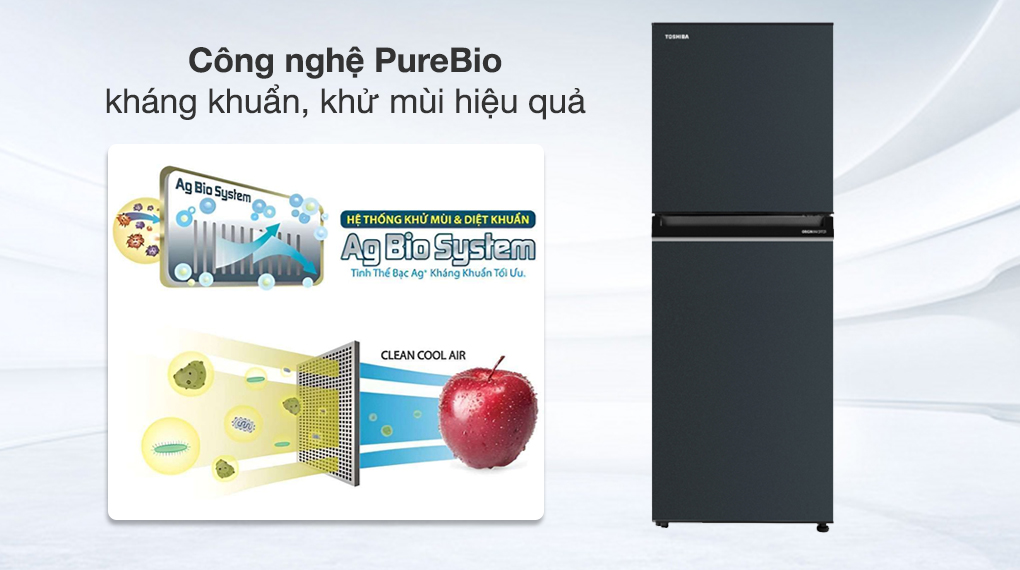 Tủ lạnh Toshiba Inverter 194 lít GR-RT252WE-PMV(52) - Công nghệ kháng khuẩn khử mùi