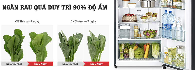 Tủ lạnh Hitachi Inverter 349 lít R-FVY480PGV0 (GMG) ngăn rau quả giữ ẩm