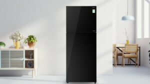 Tủ lạnh Hitachi Inverter 349 lít R-FVY480PGV0 GBK - Tổng quan thiết kế