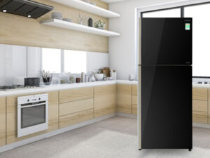 Tủ lạnh Hitachi Inverter 339 lít R-FVX450PGV9 GBK - Tổng quan thiết kế