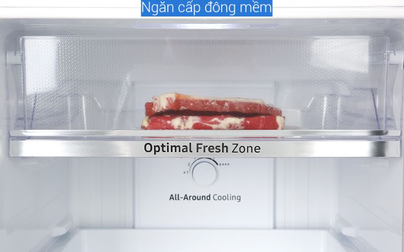Tủ lạnh ngăn đá ở dưới có ngăn đông mềm