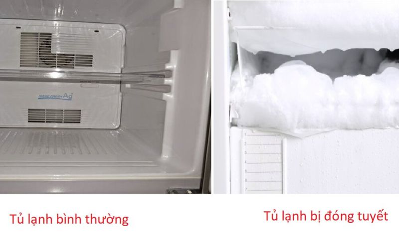 Tủ lạnh bị đóng tuyết