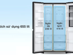 Tủ lạnh LG Inverter 655 lít Side By Side InstaView Door-in-Door GR-V257BL - Dung tích
