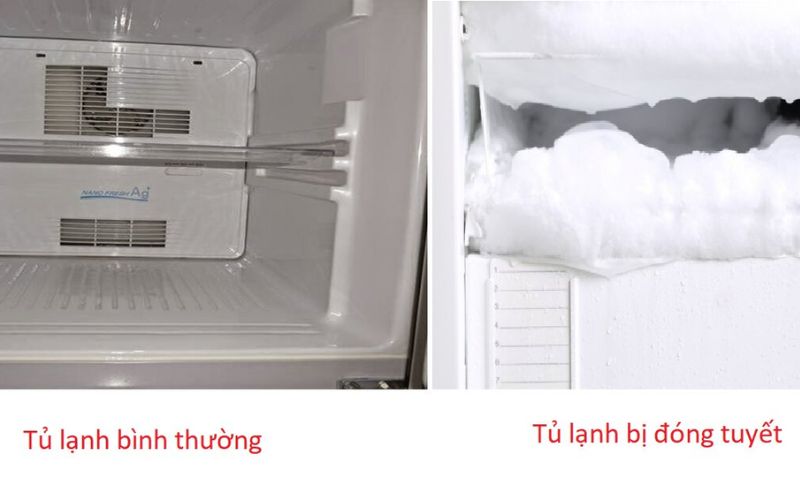 Tủ lạnh bị đóng tuyết dàn lạnh