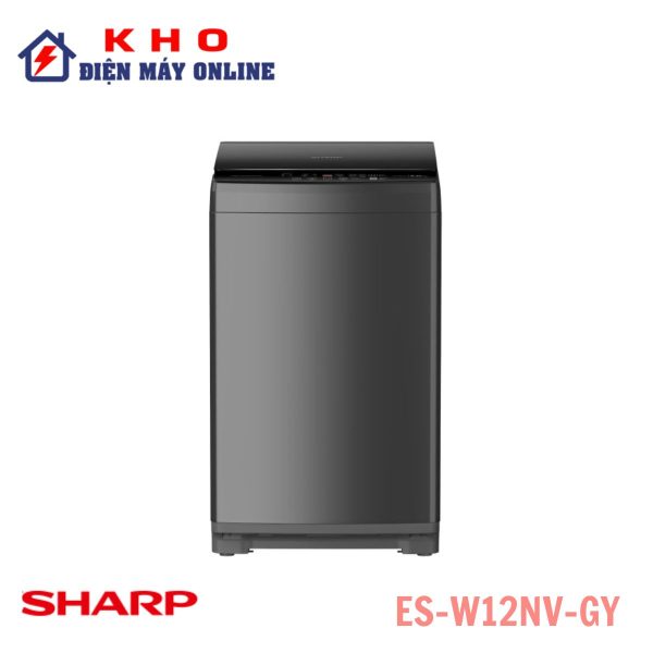 ES-W12NV-GY