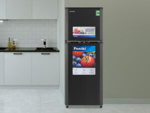 Tủ lạnh Funiki 209 lít HR T6209TDG - Thiết kế