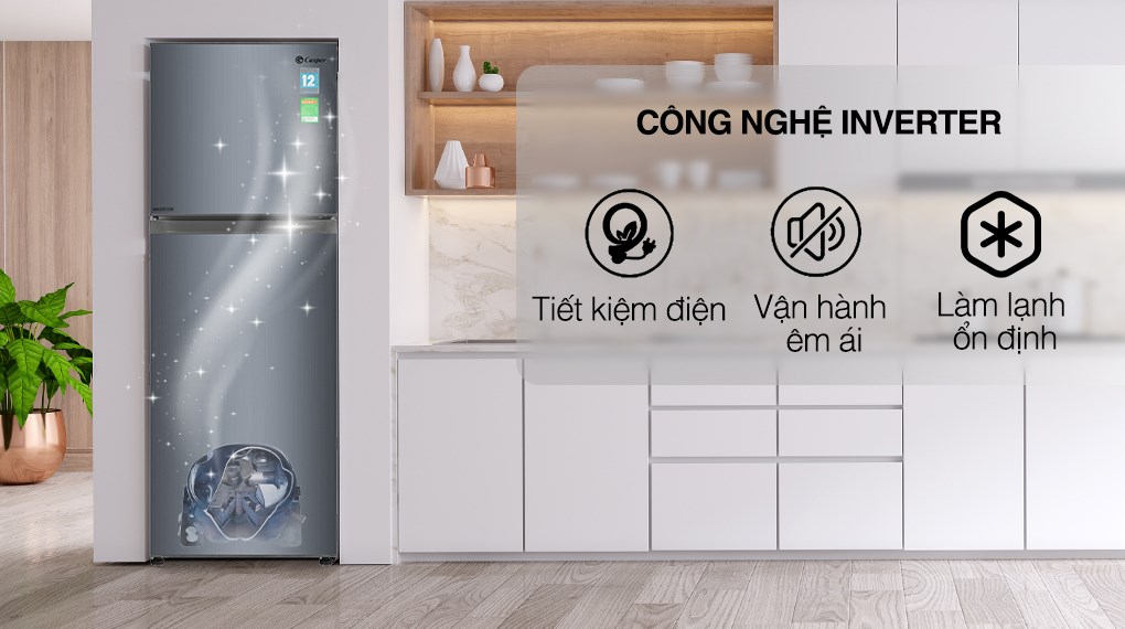 Tủ lạnh Casper Inverter 238 lít RT-250VD - Công nghệ Inverter