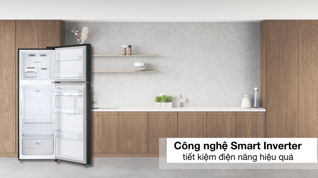 Tủ lạnh LG Inverter 314 lít LTD31BLM - Công nghệ Smart Inverter