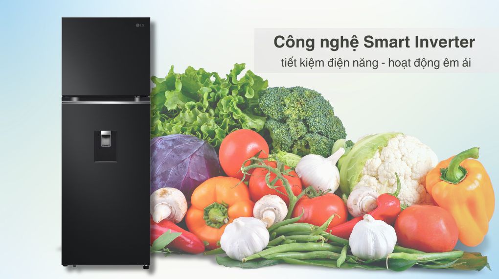 Tủ lạnh LG Inverter 334 lít LTD33BLM - Công nghệ Inverter