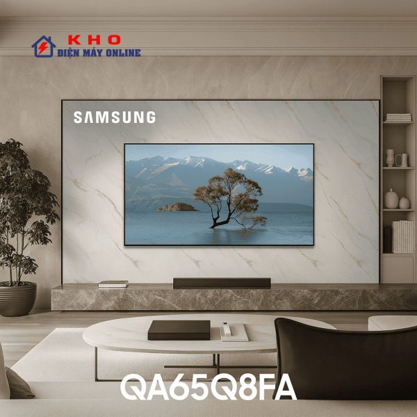 QA65Q8FA