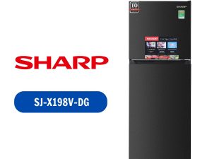 SJ-X198V-DG