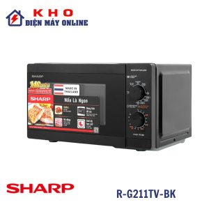 R-G211TV-BK