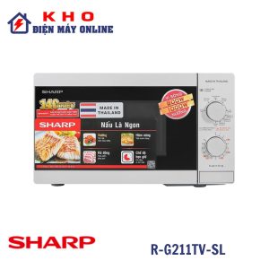 R-G211TV-SL