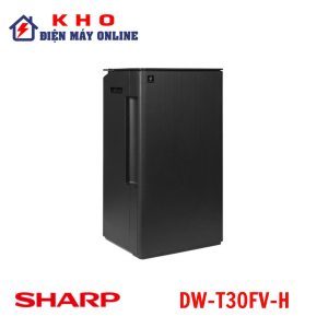 DW-T30FV-H