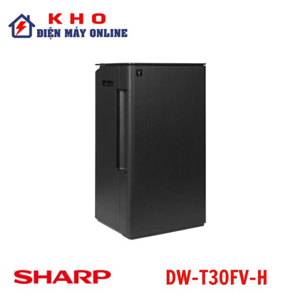 DW-T30FV-H