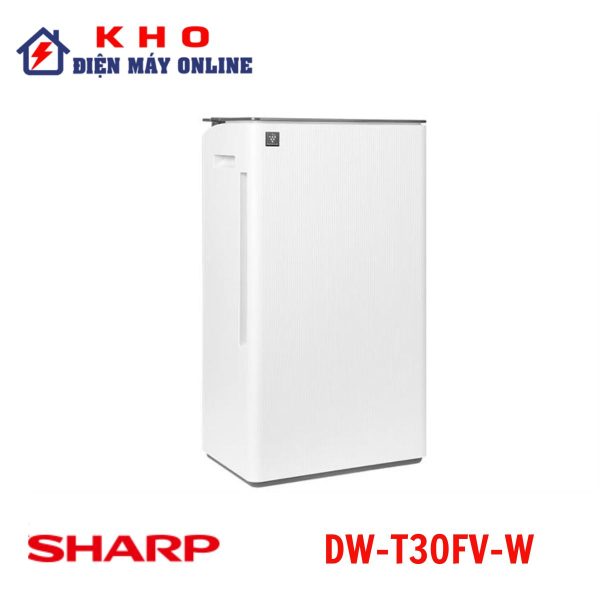 DW-T30FV-W