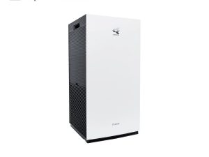 MC80ZVM7